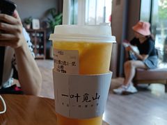 觅山橙-一叶觅山(半边街店)