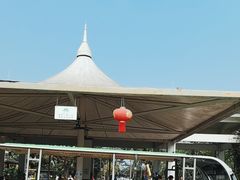 -中国科学院西双版纳热带植物园