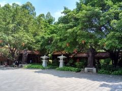 -三水森林公园