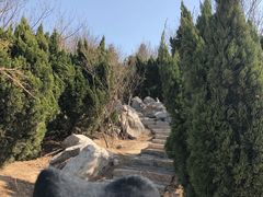 -绿岛公园(滨海新区)