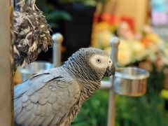 -森野花艺培训·企业团建活动沙龙