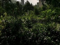 -雁荡山灵峰景区