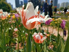 -陕西省西安植物园