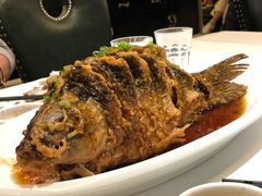 老济南糖醋鲤鱼-金春禧(世茂国际广场店)