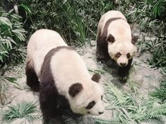 -长江文明馆