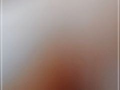 -观海轩餐厅(一线海景店)