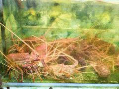 -無招牌海鮮(芽笼店)