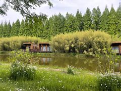 -黄海国家森林公园