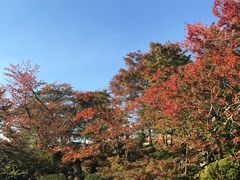 -有栖山 清光院 清水寺