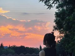 -丹樱生态园