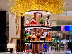 -Plush大堂酒廊(北京金融街威斯汀大酒店)