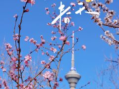 -天津水上公园