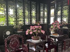 -上海醉白池公园