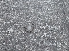 -徐州汉画像石艺术馆