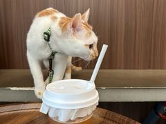 -Again Coffee Roaster(香蜜湖店)