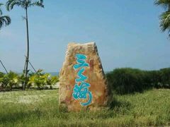 -红树林天天赶海