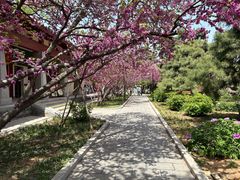 -洛阳古墓博物馆