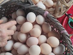 -马陆小张葡萄园农家乐