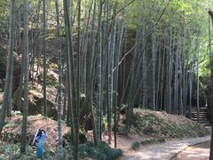-绍兴汤江岩风景区