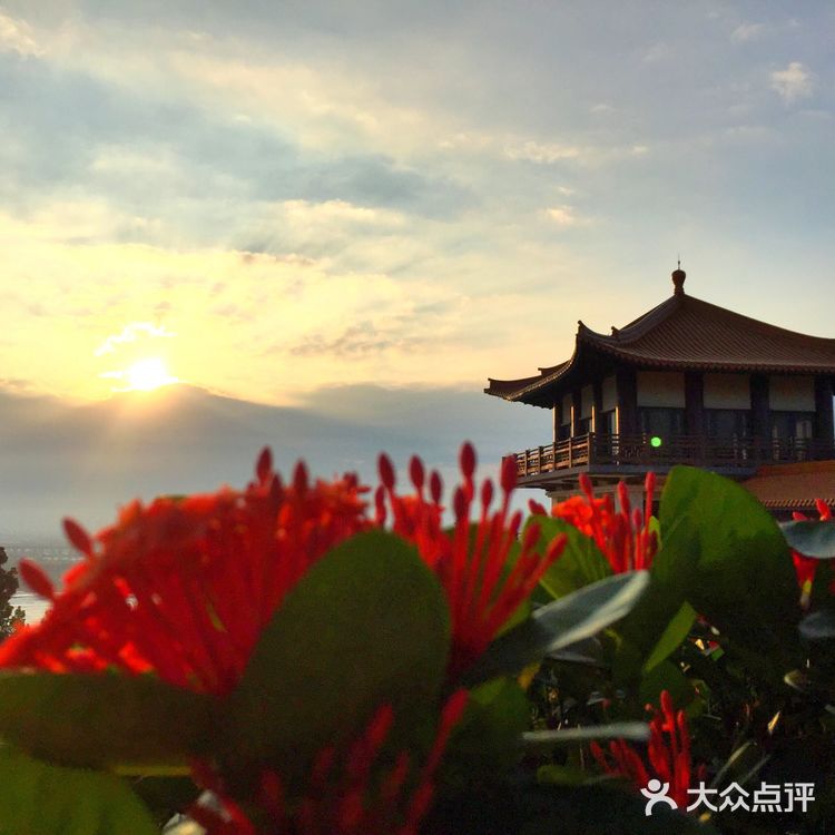 朝花夕拾|台湾禅修/旅行/生活碎片