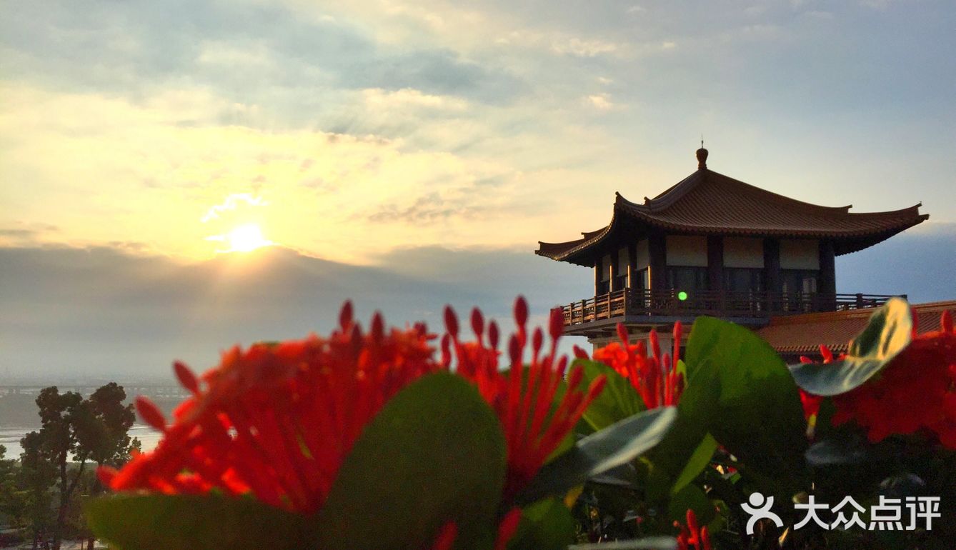 朝花夕拾|台湾禅修/旅行/生活碎片