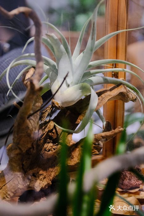 一尺花园(安和花园店)图片