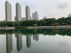 -后襄河公园