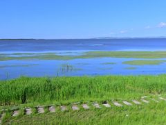 -呼兰河口湿地公园