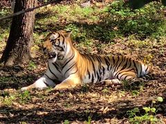 -哈尔滨北方森林动物园