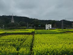 -新安江山水画廊风景区