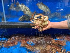 -七鲜超市(万向城店)