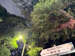 -九龙公园