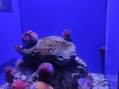 -海合安青岛极地海洋公园