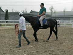 -月河湾马术俱乐部(朝阳店)