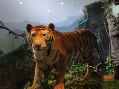 -陕西自然博物馆