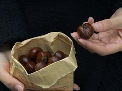 -高记桂花糖炒栗(鼓楼店)