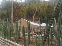 -MOJ coffee(瓯海泽雅水碓坑店)