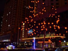 -海悦建国饭店-自助餐厅