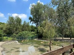 -溱湖国家湿地公园