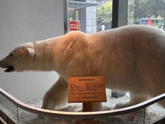 -魏客咖啡(中铁中心店)