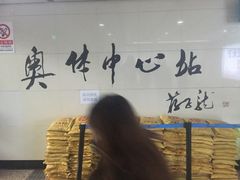 -奥体中心(地铁站)