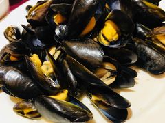 -青岛香根温泉酒店