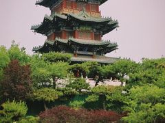 -迎泽公园