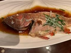 -中国坊中餐厅(石家庄希尔顿酒店)