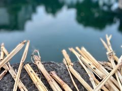 -丝绸小镇荻港古村