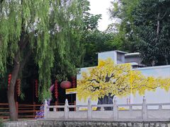 -浮来山风景区