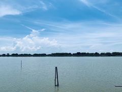 -大湾区中央湿地公园