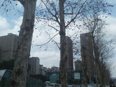-龙头寺公园