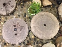 -石路美食街(金门商城店)