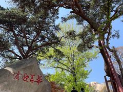 -崂山仰口游览区